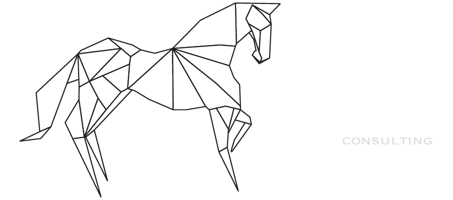 Origami Consulting